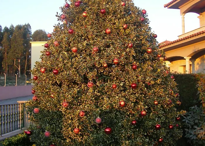 بيت ضيافة D'arcos 4*