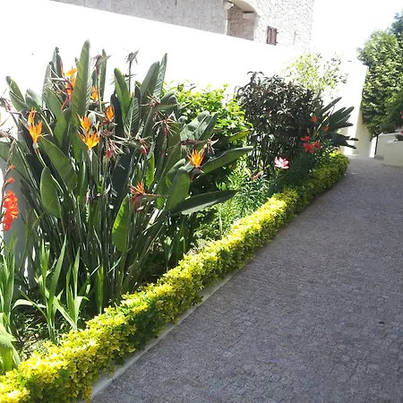 Casa de hóspedes D'arcos