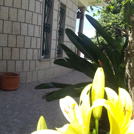 D'arcos 4*